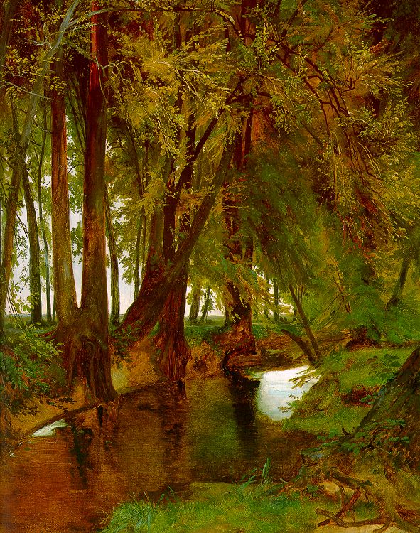 Woodland with Brook