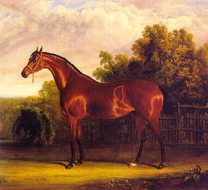 Negotiator the Bay Horse in a Landscape