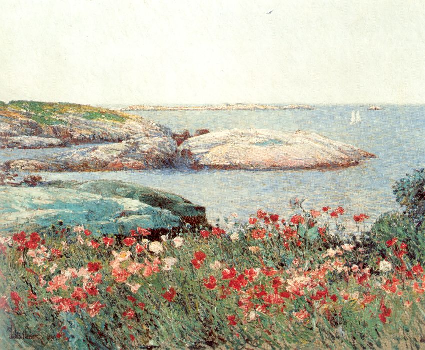 Poppies, Isles of Shoals