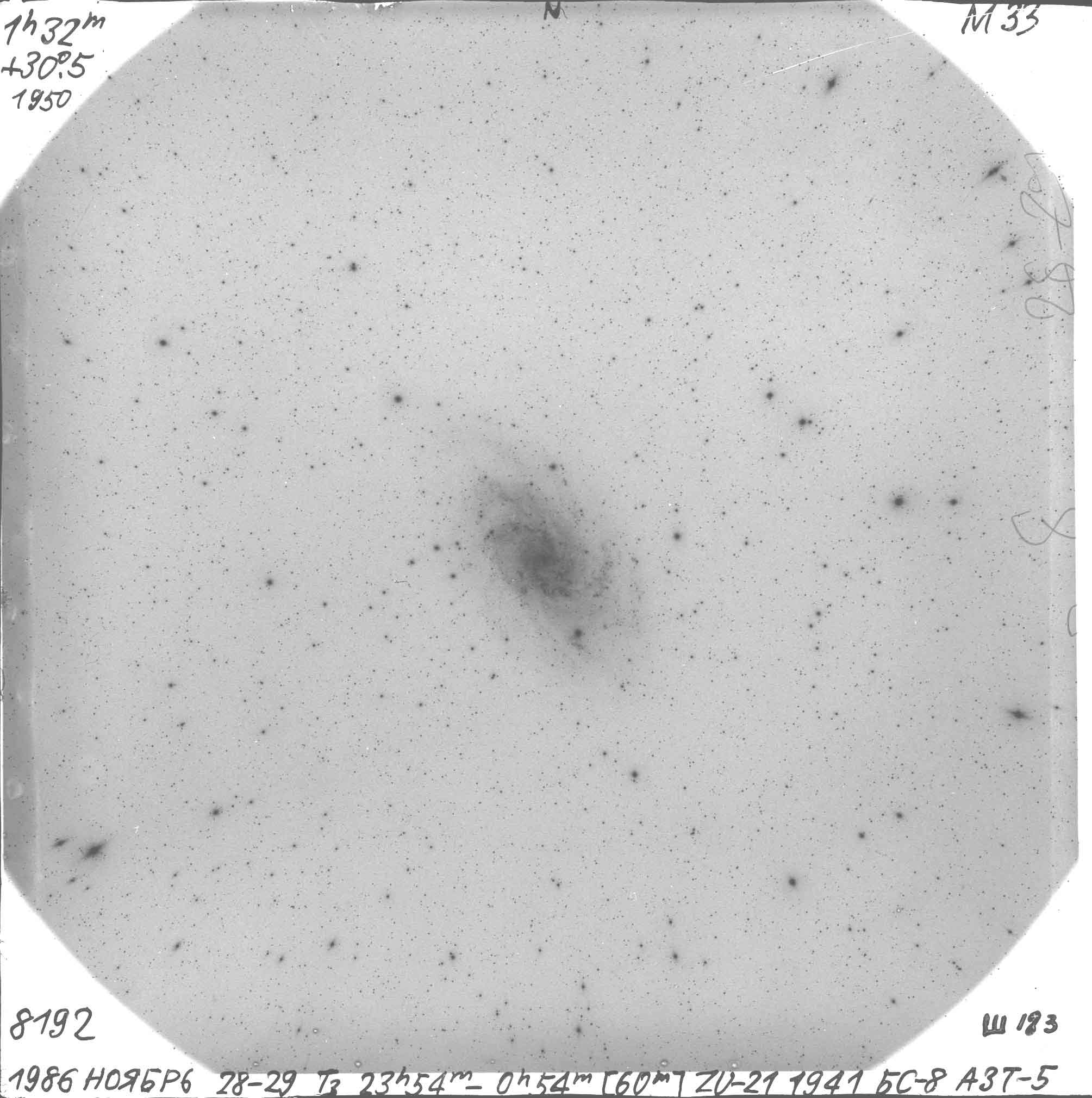 A scanned plate of the galaxy M33 from the 50-cm Maksutov telescope (preliminary scann).
