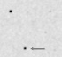 sn03dh_i.jpg