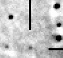 nm3105_i.jpg