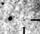 nm3106_i.jpg