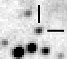 nm3107_i.jpg