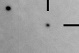 nm3110_i.jpg