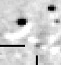 nm3111_i.jpg