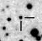 nm3113_i.jpg