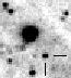 nm3115_i.jpg