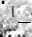 nm3116_i.jpg