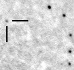 nm8104_i.jpg