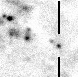 nn240301_i.jpg
