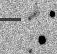 sn05bv_i.jpg