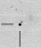 sn05dj_i.jpg