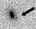 sn05gm_i.gif