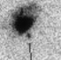 sn05m_i.jpg