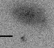 sn05x_i.gif