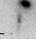 sn06ay_i.gif