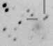 sn06bo_i.jpg