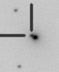 sn06bq_i.jpg