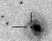 sn06dp_i.jpg