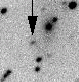 sn06lf_i.gif