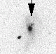 sn06mo_i.gif