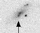 sn06qn_i.gif