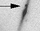 sn06qo_i.gif