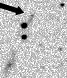sn06y_i.jpg