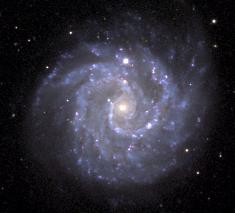 ngc3184_kelly_big.jpg