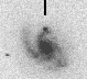 sn03gk_i.gif