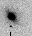 sn05co_i.gif