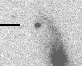 sn05eq_i.gif