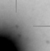 nm3201_i.jpg