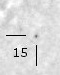 nm8115_i.jpg