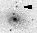 sn06li_i.gif