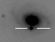 sn06or_i.jpg