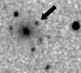 sn07as_i.jpg