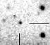 sn07if_i.jpg