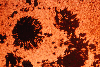 Снимок солнечных пятен