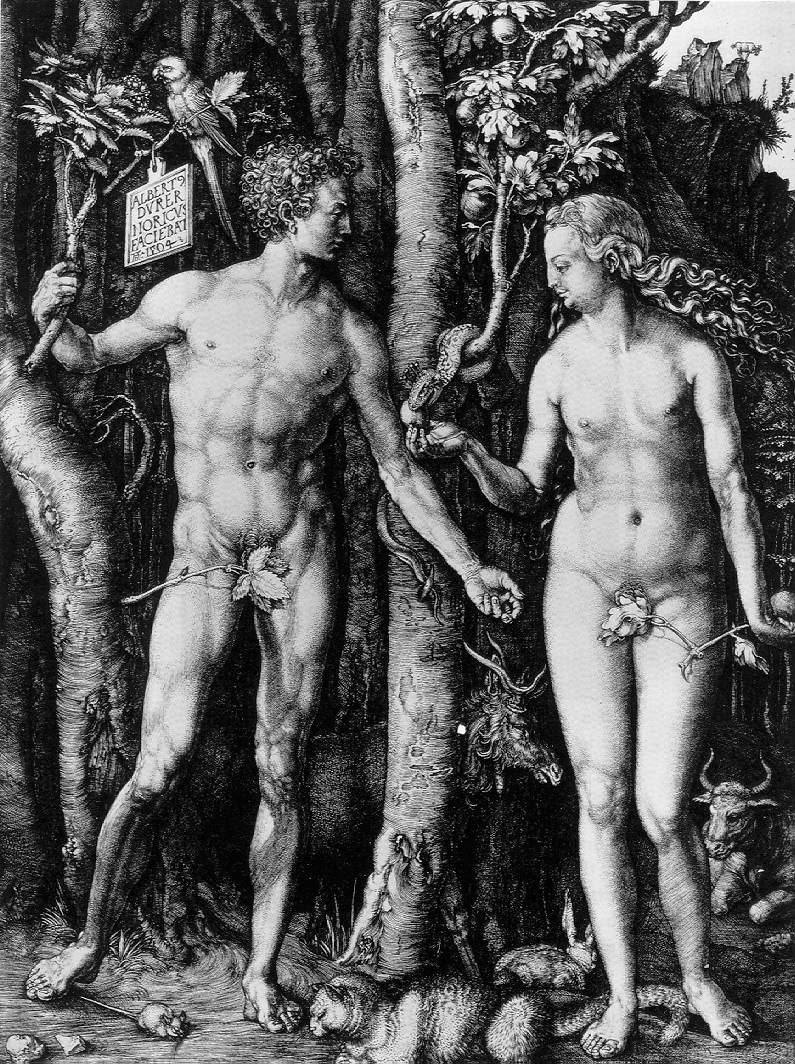 Dürer, Albrecht. Adam and Eve