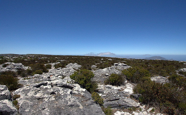 Canon 40D первые шаги, на критику-трафик