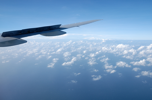 Canon 40D первые шаги, на критику-трафик