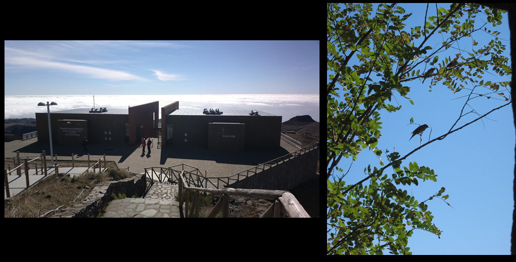 Nokia 808 PureView Nokia 808 PureView