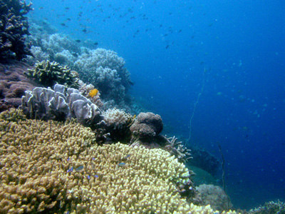 Открытие Филиппин