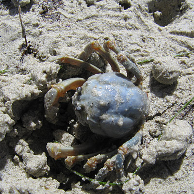 Открытие Филиппин